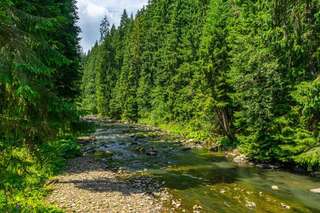 Отель Arnika Hotel Буковель-5